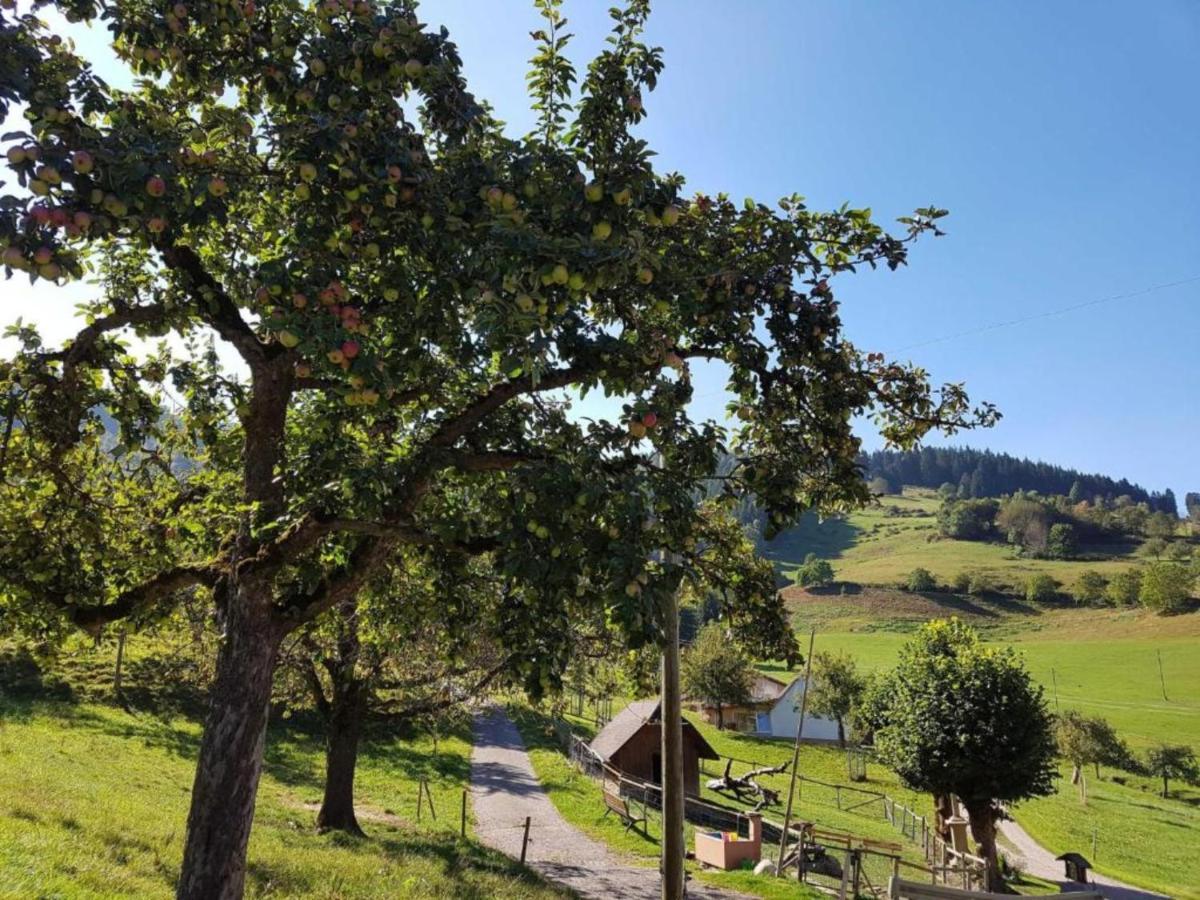 Ferienwohnungen Maierhof Oberried Oberried  Exterior photo